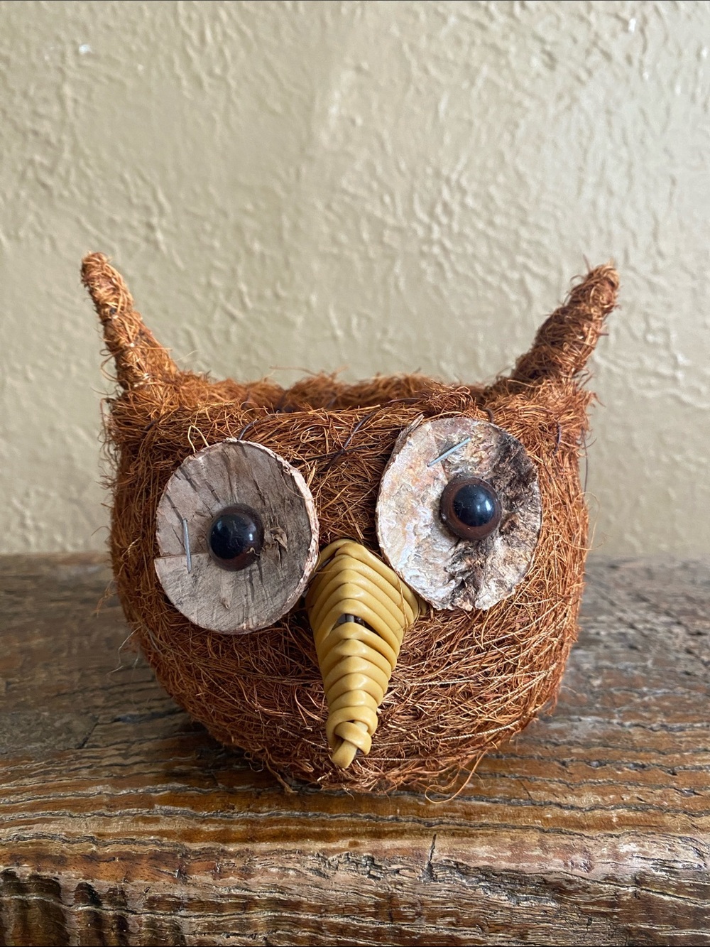 🦉Coconut Fiber Owl Flower Pot Succulent Planter🦉